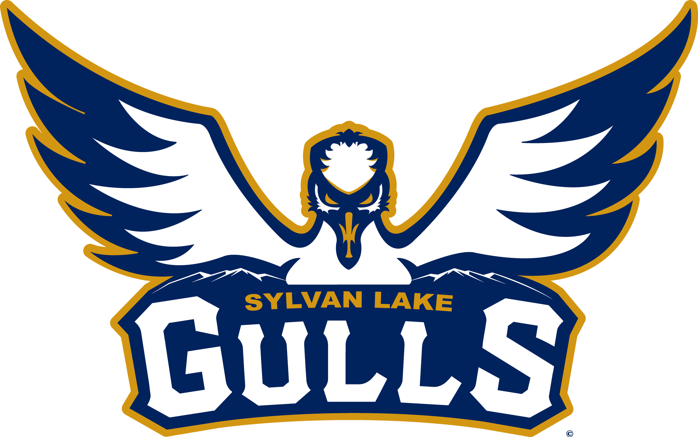 Home Sylvan Lake Gulls Merch Store